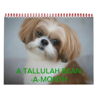 Mural Calendrier de Tallulah Bean Cute Shih Tzu 2014