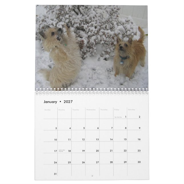 Mural Calendrier de Terrier de cairn 2010 (Jan 2027)