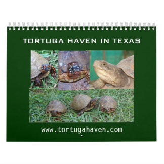 Mural Calendrier de tortue de boîte du Texas