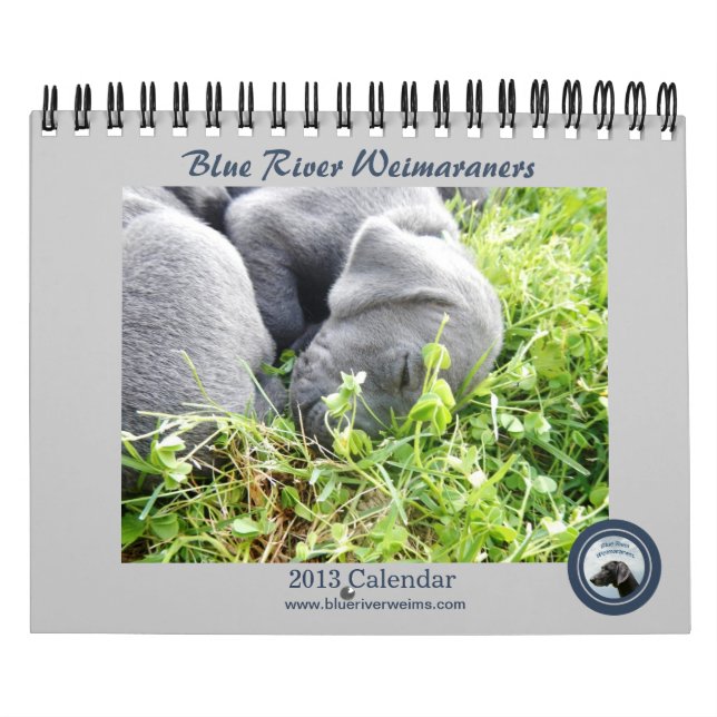 Mural Calendrier de Weimaraners de rivière de 2013 bleus (Protection)