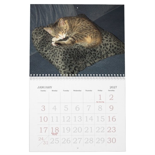 Mural Calendrier d'Emma (Jan 2027)