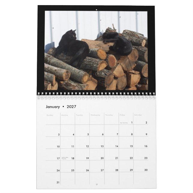 Mural Calendrier des amoureux de les chats 2014--ANNÉE (Jan 2027)