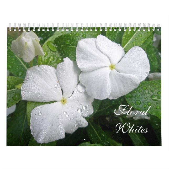 Mural Calendrier des blancs floraux (Protection)