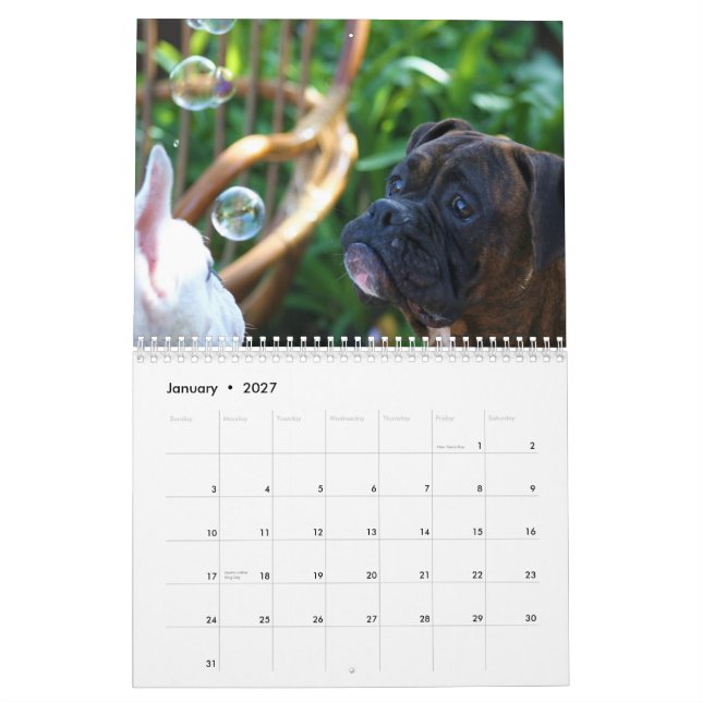 Mural Calendrier des boxeurs 2013 (Jan 2027)