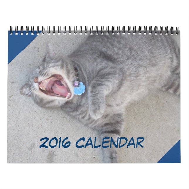 Mural Calendrier des chats et des chiens 2016 (Protection)
