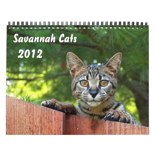 Mural Calendrier des chats Serval Savannah (Protection)