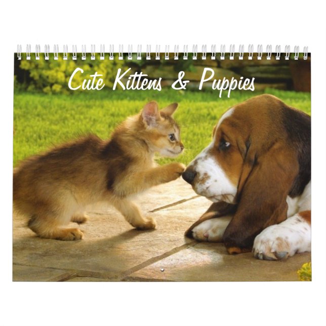 Mural Calendrier des chattes et chiots (Protection)