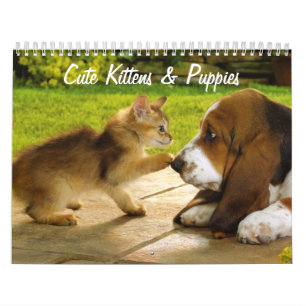 Mural Calendrier des chattes et chiots
