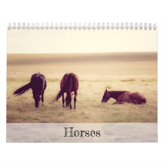 Mural Calendrier des chevaux (Protection)