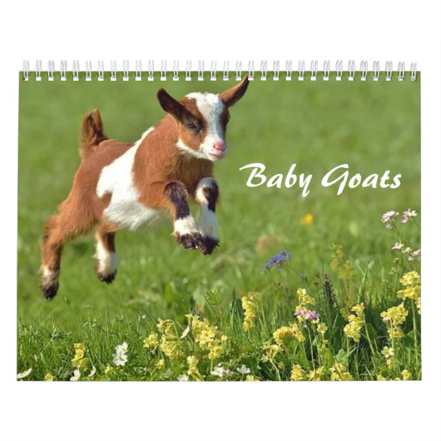 Mural Calendrier des chèvres adorables pour bébés (Protection)