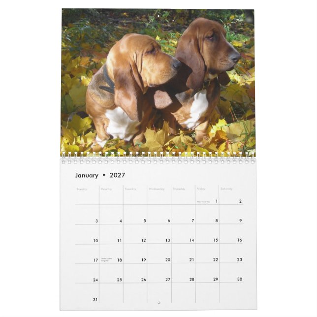 Mural Calendrier des chiens de basset 2012 (Jan 2027)