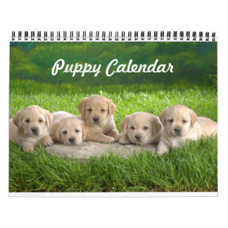 Mural Calendrier des chiots