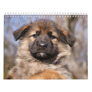 Mural Calendrier des chiots allemands 2016
