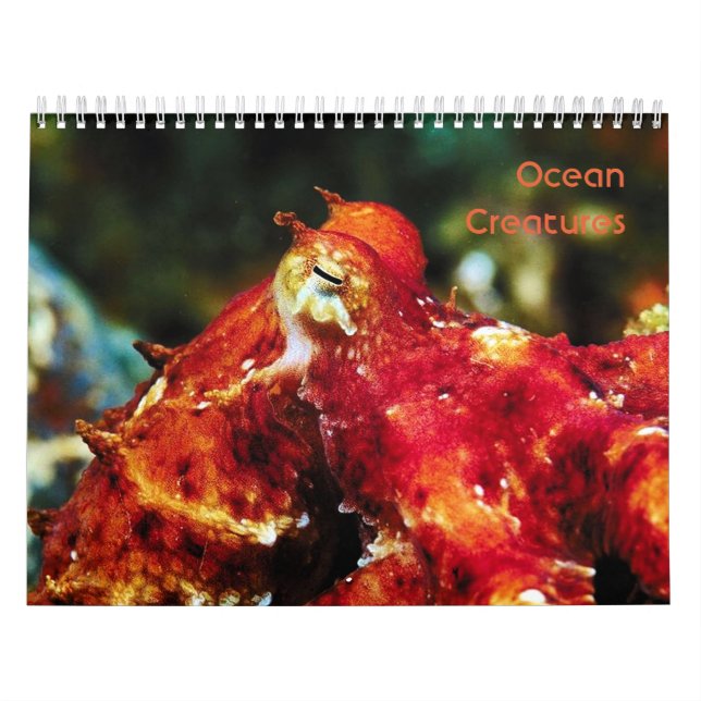 Mural Calendrier des créations océaniques (Protection)