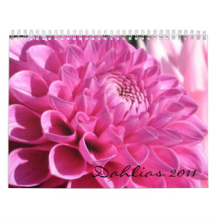 Mural Calendrier des dahlias 2011