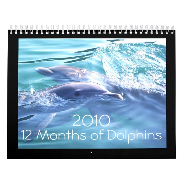 Mural Calendrier des dauphins 2010 (Protection)