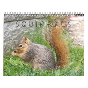 Mural Calendrier des écureuils