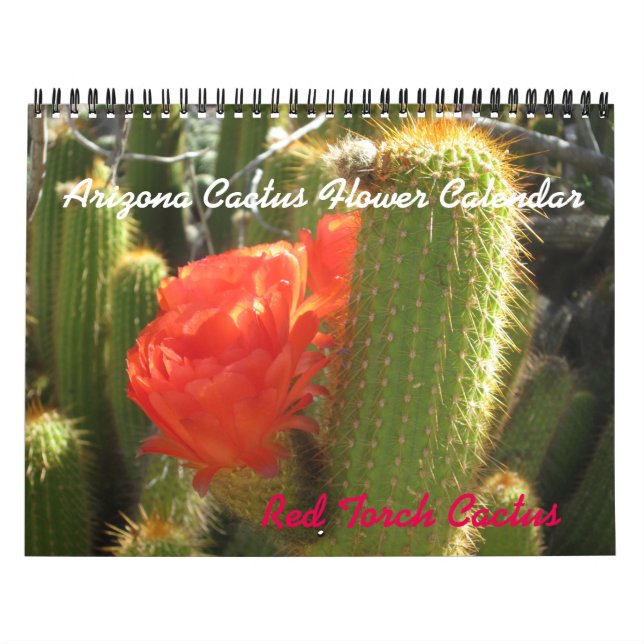 Mural Calendrier des fleurs de l'Arizona Cactus (Protection)