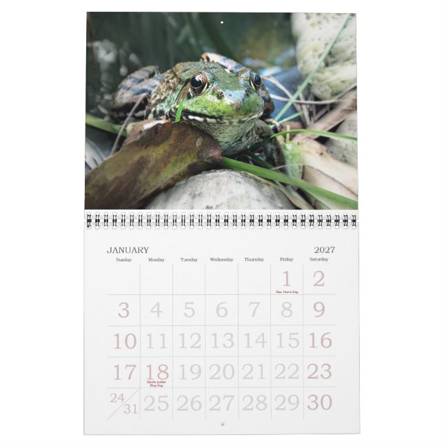 Mural Calendrier des grenouilles 2015 (Jan 2027)