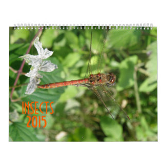 Mural Calendrier des insectes 2015