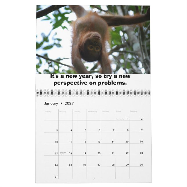 Mural Calendrier des leçons sur la faune de la Jungle (Jan 2027)