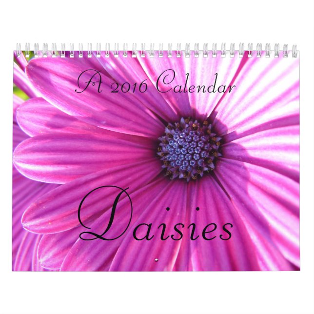 Mural Calendrier des marguerites 2016 (Protection)