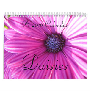 Mural Calendrier des marguerites 2016