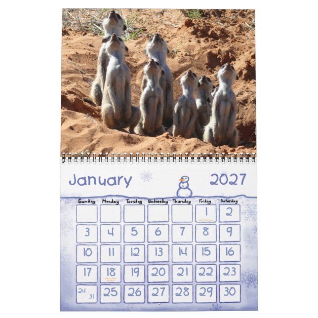 Mural Calendrier des Meerkats 2011 KMP (Jan 2027)