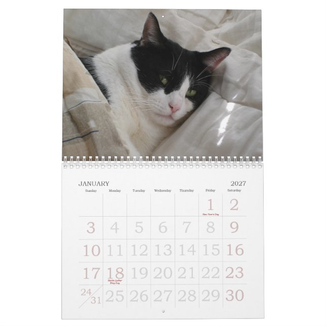 Mural Calendrier des moments (Jan 2027)