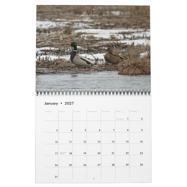 Mural Calendrier des oiseaux aquatiques 2011 (Jan 2027)