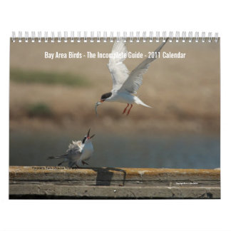 Mural Calendrier des oiseaux de la région de la baie 201