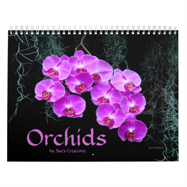 Mural Calendrier des orchidées (Protection)