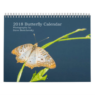 Mural Calendrier des papillons 2018