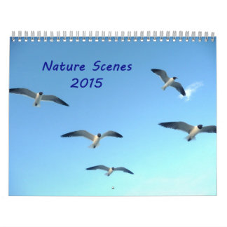 Mural Calendrier des paysages naturels 2015