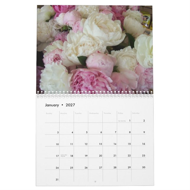 Mural Calendrier des pivoines 2015 (Jan 2027)