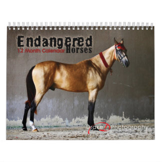 Mural Calendrier des races de chevaux en voie de dispari