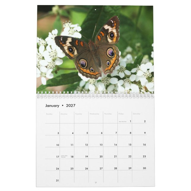 Mural Calendrier des réunions NABA (Jan 2027)