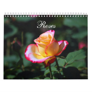 Mural Calendrier des roses 2012