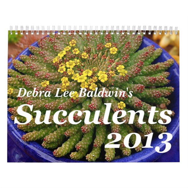 Mural Calendrier des Succulents 2013 de Debra Lee Baldwi (Protection)