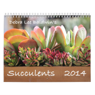 Mural Calendrier des Succulents 2014 par Debra Lee