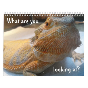 Mural Calendrier DRÔLE impressionnant pour 2019