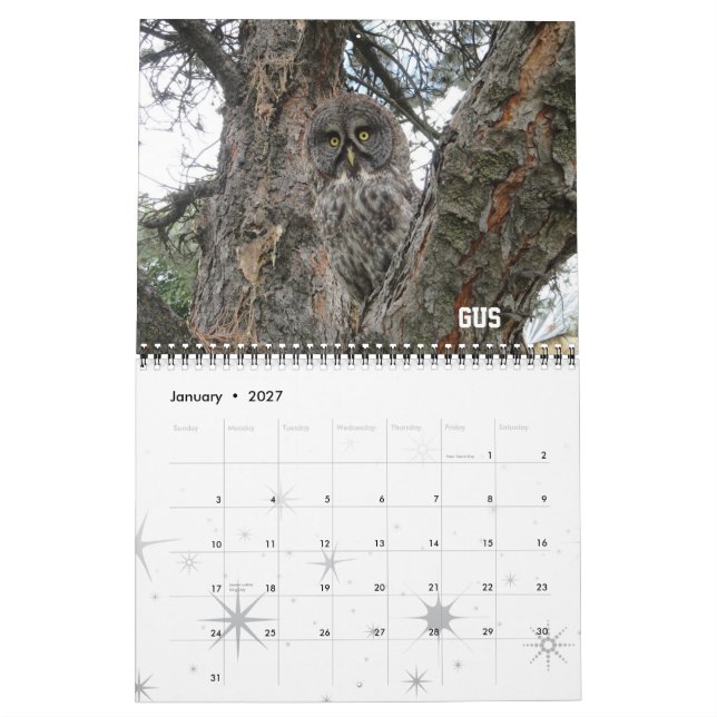 Mural Calendrier du club 2012 de WSU Raptor (Jan 2027)