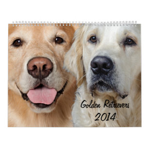 Mural Calendrier du golden retriever 2014