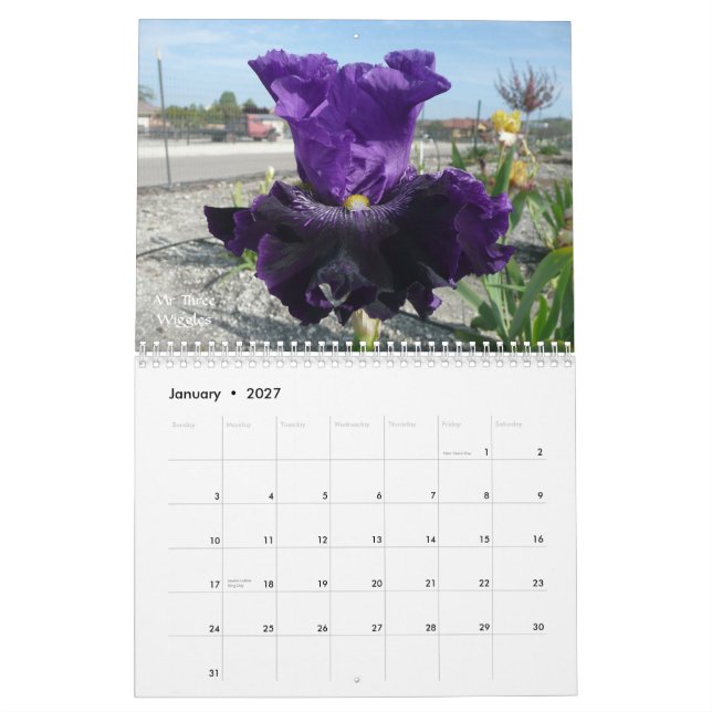 MURAL CALENDRIER DU JARDIN 2012 D'IRIS (Jan 2027)
