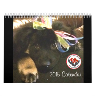 Mural Calendrier du match 2015 de Pawfect