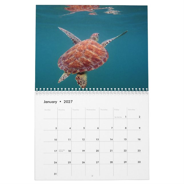 Mural Calendrier du Mexique de Maya de la Riviera (Jan 2027)