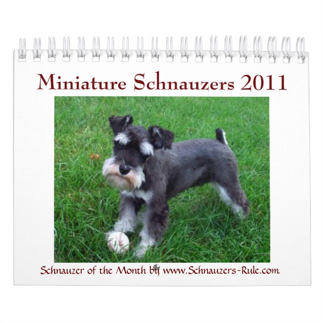 Mural Calendrier du Schnauzer 2016 miniature (Protection)