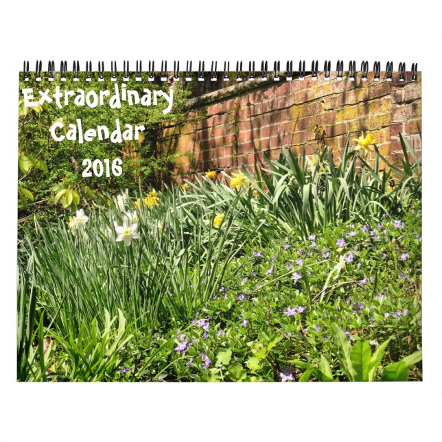 Mural Calendrier Extraordinaire-2016 (Protection)