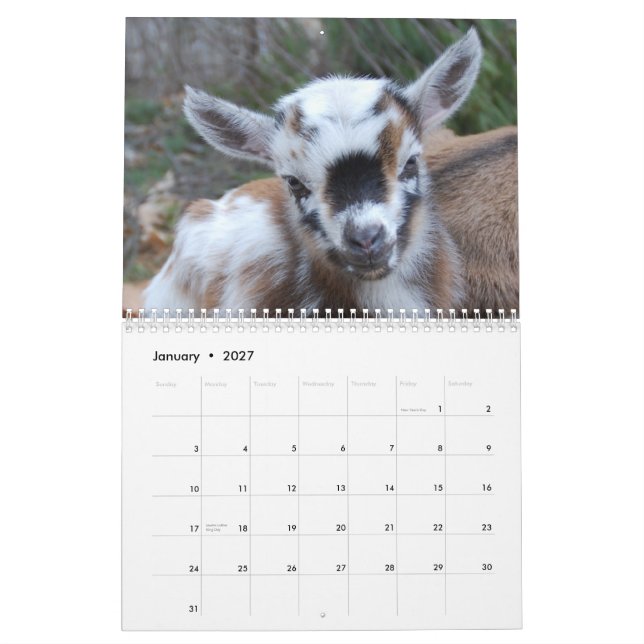 Mural Calendrier extrême de gentillesse de ferme (Jan 2027)