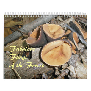 Mural Calendrier - Fabuleux Champignons De La Forêt